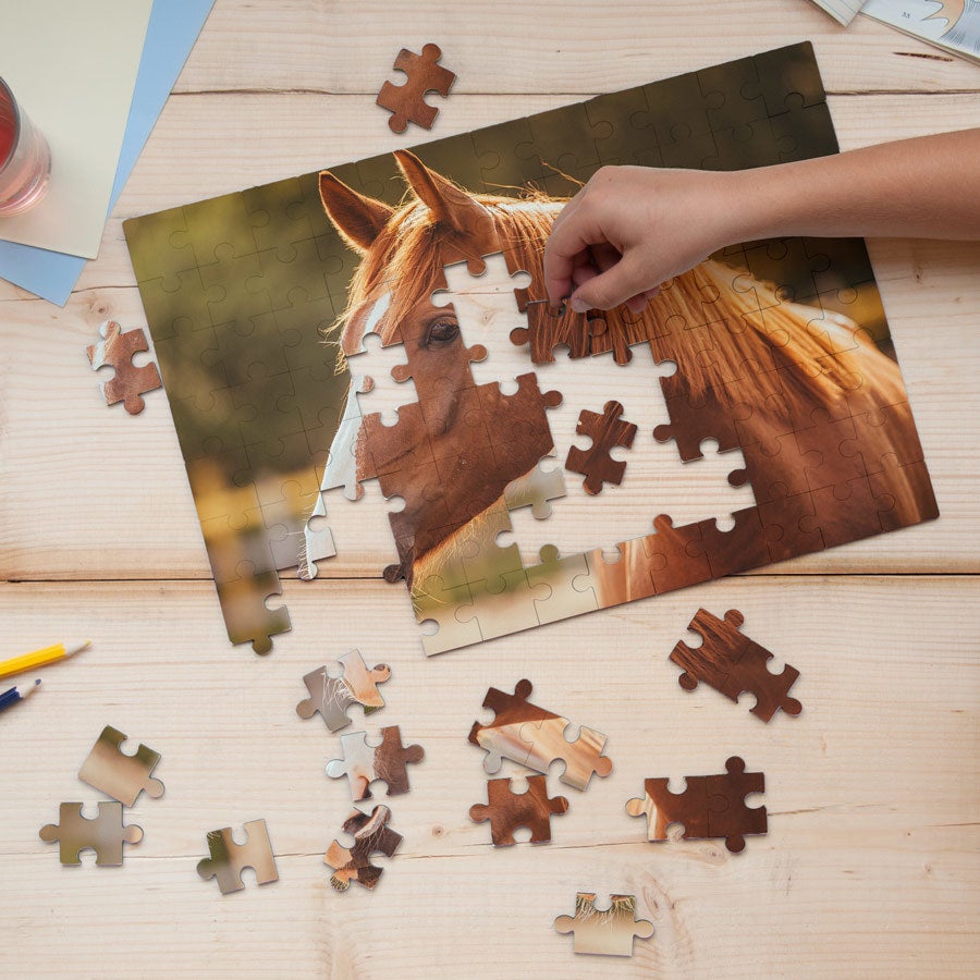 Puzzel – 96 stukjes-cover
