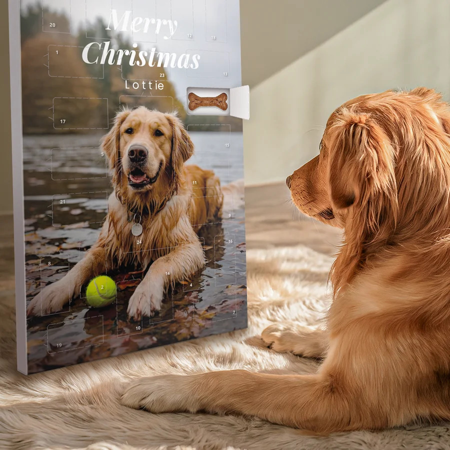 Adventskalender voor honden – Pedigree-cover
