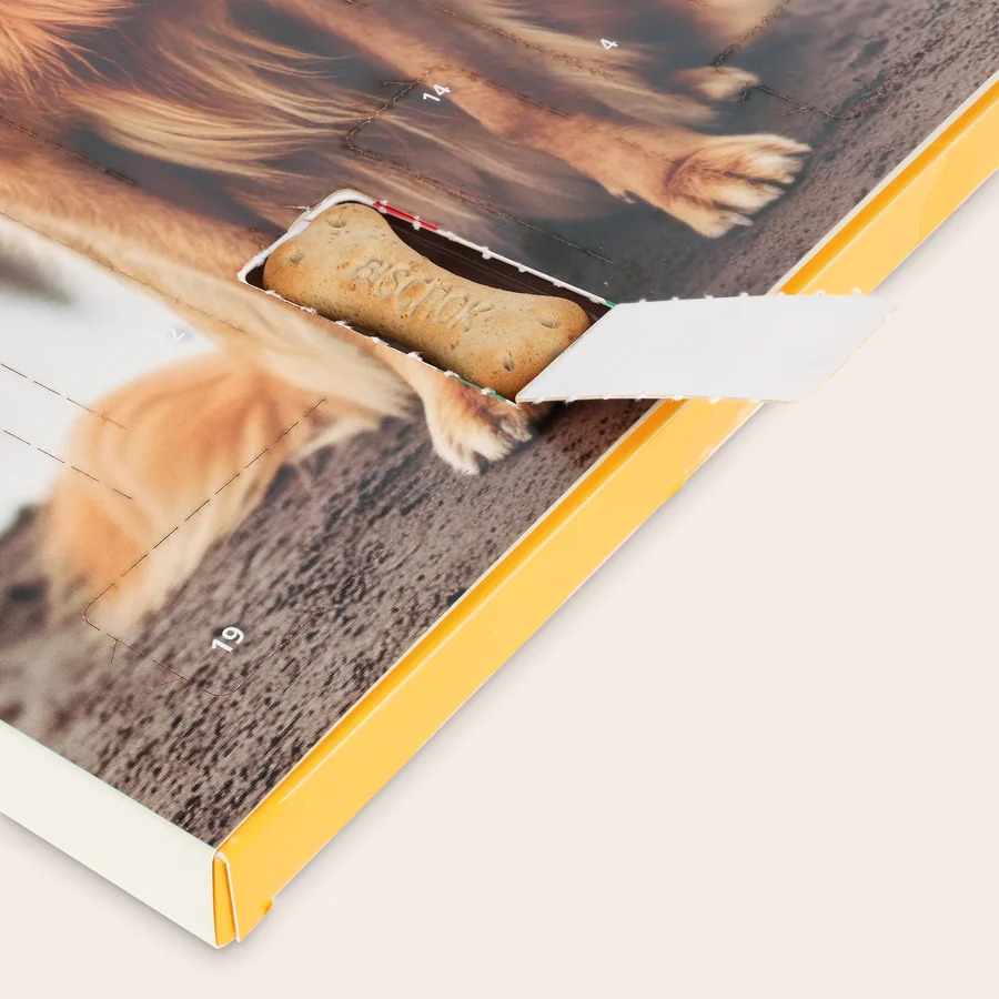 Adventskalender voor honden – Pedigree-cover