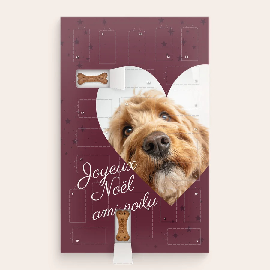 Adventskalender voor honden – Pedigree-cover