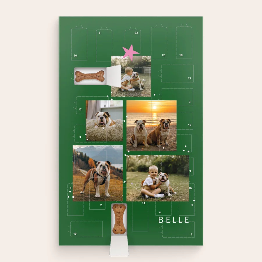 Adventskalender voor honden – Pedigree-cover