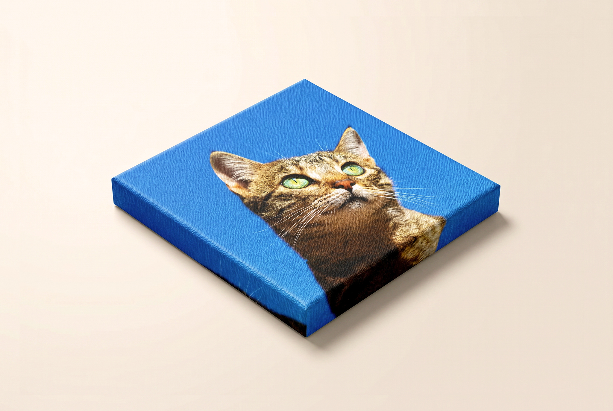 Doek 20mm – Vierkant-cover