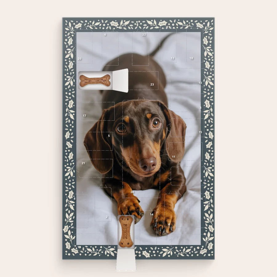 Adventskalender voor honden – Pedigree-cover