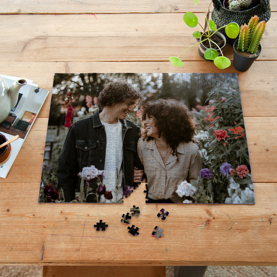 Puzzel – 500 stukjes-cover
